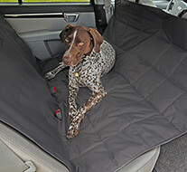 Car Seat Protection