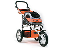 Sport Trike Stroller